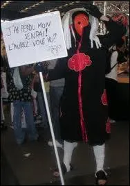 Quel est ce cosplay ?