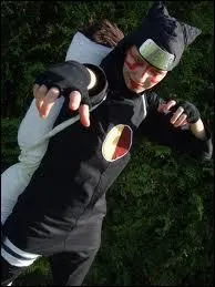 Quel est ce cosplay ?