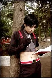 Quel est ce cosplay ?