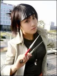 Quel est ce cosplay ?