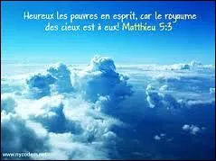 Vgtale, stellaire, d'un prcieux soutien !