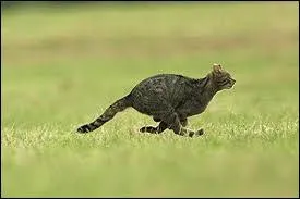 Autour de votre cou, elles peuvent prcipiter votre dpart !