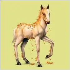 Qui est ce cheval ?