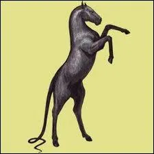 Qui est ce cheval ?