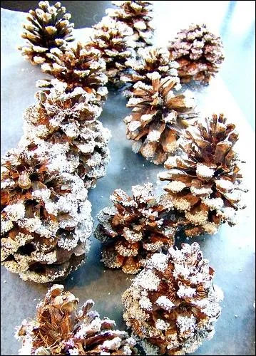 De faon traditionnelle, on peut joliment dcorer un sapin de pommes de pin trouves en fort. Pour les enneiger, on peut ?