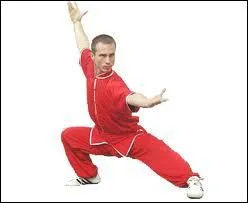 Quelle est cette discipline d'origine chinoise ?