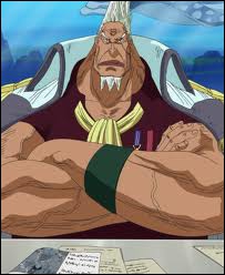 Conseil des 5 Etoiles one piece