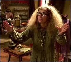 Qui se prte au rle de l'excentrique professeur de divination ?