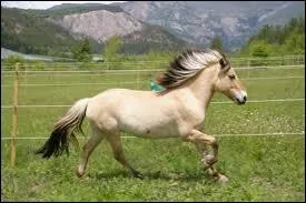 Il y a les antrieurs et les...