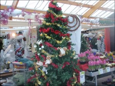 En haut de l'arbre tout vert on met ...