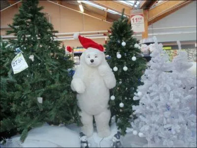 Alors que sur le sapin, il y a ...