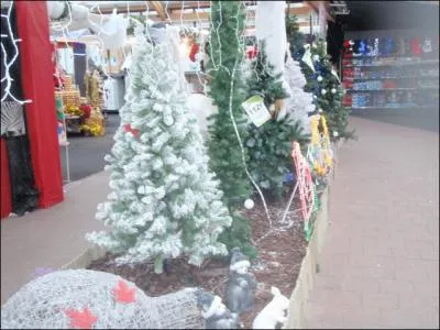 Selon la tradition, au pied du sapin, on installe ...