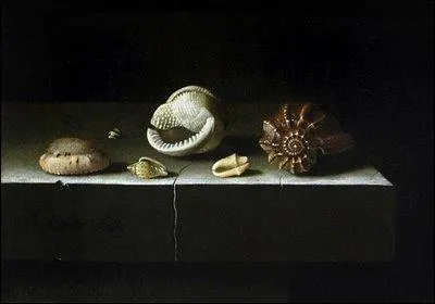 Ce peintre atteignit une rare posie de l'objet dans une atmosphre de parfaite modestie. Voici ses 'Coquillages' (1680).