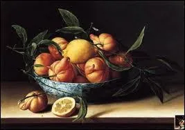 La France produisit aussi d'excellents peintres de natures mortes. Par exemple cette artiste qui ralisa 'Nature morte avec un citron et des oranges' (c. 1640).