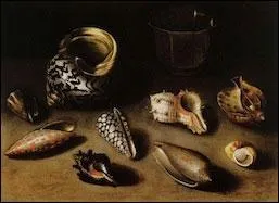 'Neuf coquillages exotiques' (c. 1610) est une lgante nature morte ralise par une femme peintre :