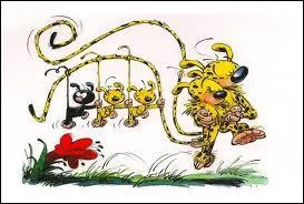 Comment s'appellent les petits du Marsupilami ?