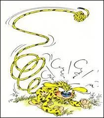 Que peut-il faire avec cette longue queue qui le caractrise ?