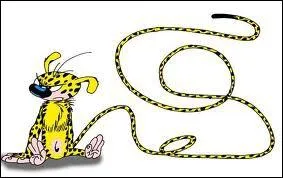 Compte tenu de la question 6, quel aspect de son anatomie est plus que bizarre ?