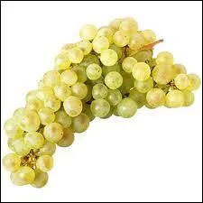 Lequel de ces raisins est connu en Suisse sous le nom de 'fendant' ?