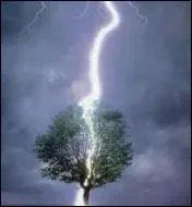 Quelle divinit de la mythologie romaine a la foudre pour attribut ?