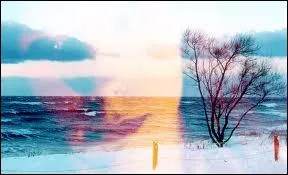 Qui interprtait 'Le marin et la Sainte Vierge' ?