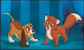 Comment s'appelle ce jeune Saint-Hubert qui se lie d'amiti avec un renardeau dans un Disney de 1981 ?