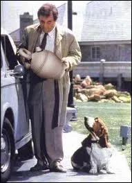 Quelle est la race du chien de Columbo ?