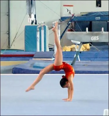 Qu'est-ce que c'est ? (1 rponse)