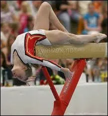 A quelle famille appartient cet lment et  quel agrs correspond-il ? (1 rponse)