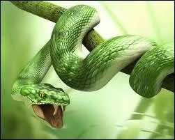 Comment dit-on 'serpent' en anglais ?