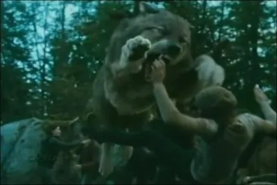 Qui est bless(e) lors de la bataille contre les nouveau-ns ?