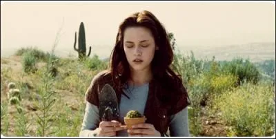 Avant de dmnager  Forks, o Bella vivait-elle ?