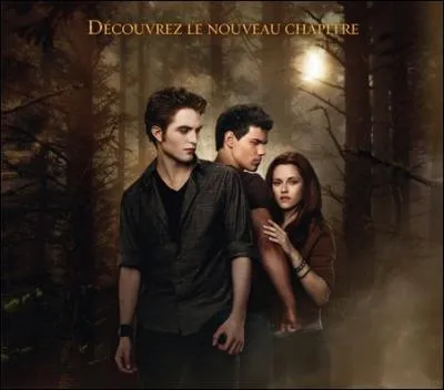 Comment s'appelle le deuxime film ?