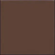 Quelle est cette couleur en anglais ?