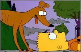 Comment s'appelle le lvrier de Bart Simpson ?