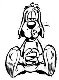 Qui est ce chien apathique dessin par Gotlieb depuis 1964 ?