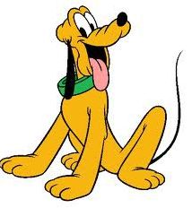 Quiz Chiens