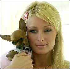 Qui s'accroche  son chihuahua ?