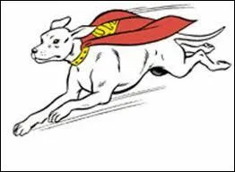 Comment s'appelle le superchien de Superman ?