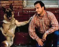 Qui est contraint de s'associer  Jerry Lee, un berger allemand, dans 'Chien de flic' ?