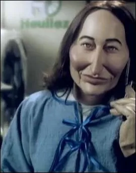 En direct des Marais du Poitou ...