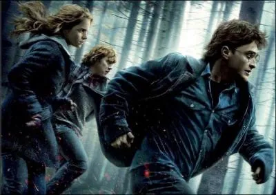 Clbre saga inspire par les romans de Joanne K. Rowling et ralis, c'est :