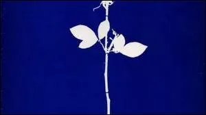 Qui interprte 'Enjoy the silence' ?