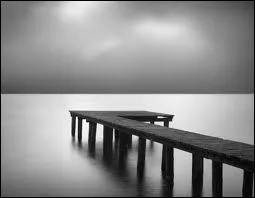 Qui chantait Sounds of silence ?