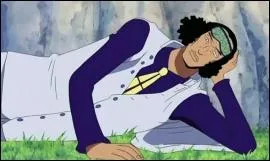 Quel est le vrai nom d'Aokiji ?