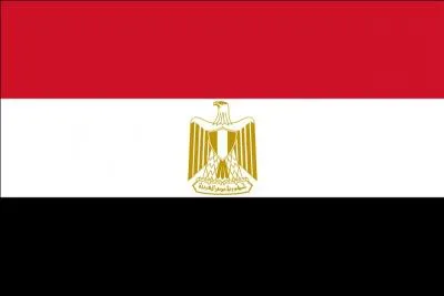  quel pays appartient ce drapeau ?