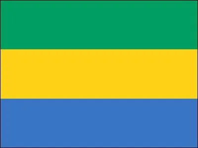 Quel pays a adopt ce drapeau ?