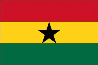 Quel pays a adopt ce drapeau ?