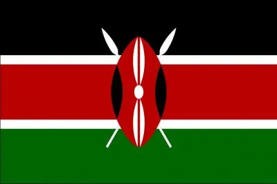 Quel pays a adopt ce drapeau ?