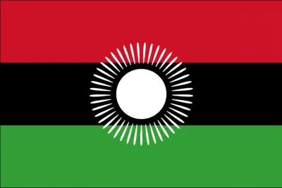 Quel pays a adopt ce drapeau ?